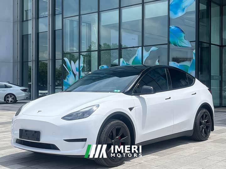 Tesla Model Y rear-wheel drive version - автомобиль из Китая