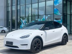 Tesla Model Y rear-wheel drive version - фото 1