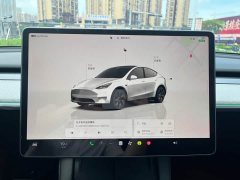 Tesla Model Y rear-wheel drive version - фото 16