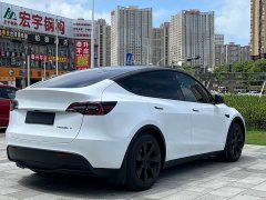 Tesla Model Y rear-wheel drive version - фото 4