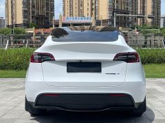 Tesla Model Y rear-wheel drive version - фото 5