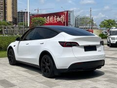 Tesla Model Y rear-wheel drive version - фото 6