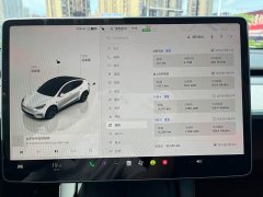 Tesla Model Y rear-wheel drive version - фото 9