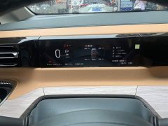 Trumpchi E8 PHEV 150km MAX - фото 10