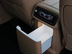 BMW Leapmoon D19 Extended Range 500 Zhizun Edition Six Seats - фото 14