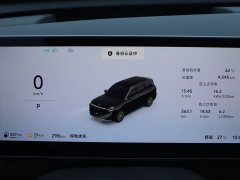BMW Leapmoon D19 Extended Range 500 Zhizun Edition Six Seats - фото 20