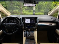 Alfa Romeo Alfa Dual Engine 2.5L Premium Gold Edition - фото 12