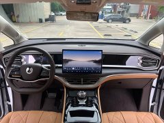 Denza D9 DM-i 980 four-wheel drive flagship - фото 5