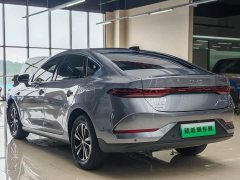 BYD Qin PLUS DM-i Smart Driving Edition 120KM Transcendent Type - фото 2