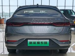 BYD Qin PLUS DM-i Smart Driving Edition 120KM Transcendent Type - фото 5