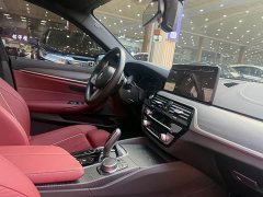 BMW 5 Series Facelift II 530Li Luxury M Sport Package - фото 10