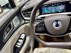 Denza D9 DM-i 980 four-wheel drive premium - фото 20