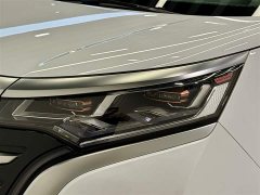 Denza D9 DM-i 980 four-wheel drive premium - фото 8