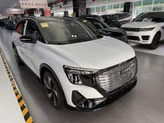 Audi Q5 e-tron 40 e-tron sparkling brocade suit - фото 1