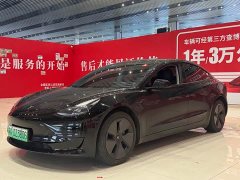 Tesla Model 3 rear-wheel drive version - фото 1