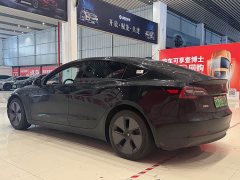 Tesla Model 3 rear-wheel drive version - фото 6