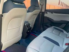 Tesla Xingrui 2.0TD Premium - фото 6
