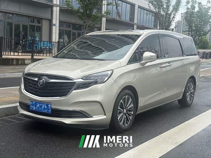 Buick GL8 ES Lu Zun 653T luxury