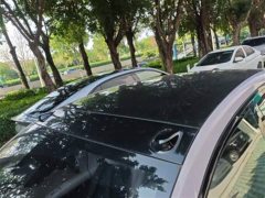 Li Auto Ledo L60 60kWh rear-wheel drive version - фото 8