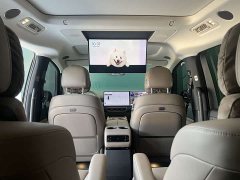 Li Auto Ideal MEGA Home Family Special Edition - фото 13