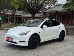 Tesla Model Y 2022 rear-wheel drive version - фото 1