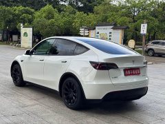 Tesla Model Y 2022 rear-wheel drive version - фото 7