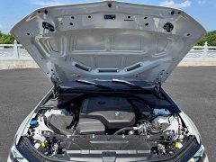 BMW 3 Series 320Li M Sport Package - фото 20