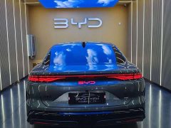 Lexus Han L DM-p AWD LiDAR Flagship Edition - фото 15