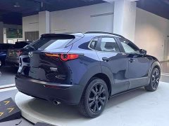 Mazda CX-30 2022 2.0L Automatic Obsidian Edition - фото 8