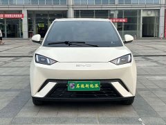 BYD Seagull Honor Edition 405km Flying Edition - фото 2