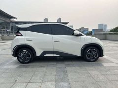 BYD Seagull Honor Edition 405km Flying Edition - фото 4