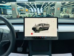 Tesla Model Y 2022 rear-wheel drive version - фото 15