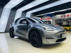Tesla Model Y 2022 rear-wheel drive version - фото 3