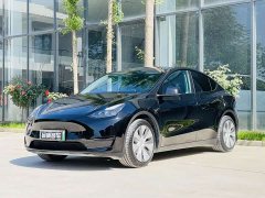 Tesla Model Y rear-wheel drive version - фото 1
