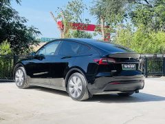 Tesla Model Y rear-wheel drive version - фото 16
