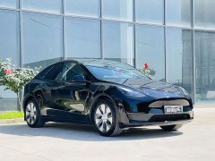 Tesla Model Y rear-wheel drive version - фото 2