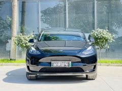 Tesla Model Y rear-wheel drive version - фото 3