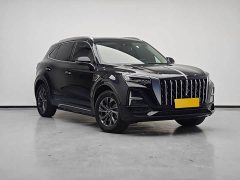 Hongqi HS5 2.0T Qixiang Pro Edition - фото 5