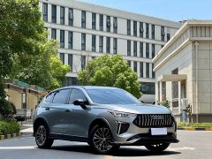 Haval Red Rabbit 2023 1.5T Dynamic Type - фото 3