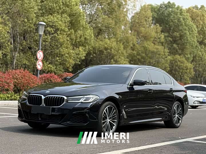 BMW 5 Series 530Li Leading M Sports Package - автомобиль из Китая