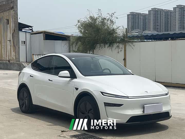 Tesla Model Y rear-wheel drive version - автомобиль из Китая
