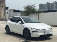 Tesla Model Y rear-wheel drive version - фото 1