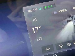 Lynk & Co Century 2.0T Seven-Seater Yunshi Edition - фото 16