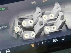 Lynk & Co Century 2.0T Seven-Seater Yunshi Edition - фото 17