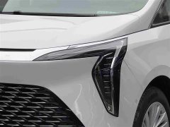 Lynk & Co Century 2.0T Seven-Seater Yunshi Edition - фото 3