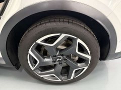 Li Auto Ledo L60 2024 60kWh rear-wheel drive version - фото 14