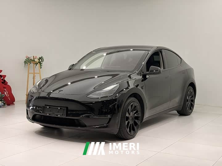 Tesla Model Y long-range all-wheel drive version - автомобиль из Китая