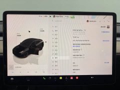 Tesla Model Y long-range all-wheel drive version - фото 13