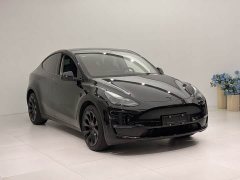 Tesla Model Y long-range all-wheel drive version - фото 3