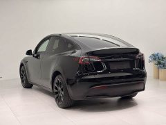 Tesla Model Y long-range all-wheel drive version - фото 6